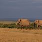 Best Walking Safari Trails in Kenya: A Trail-by-Trail Guide