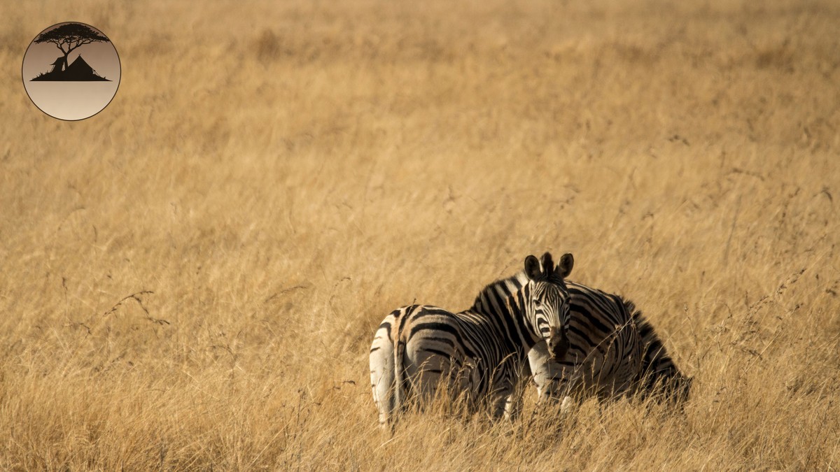 Community Conservancy Fees in Kenya, Explained - photo 1
