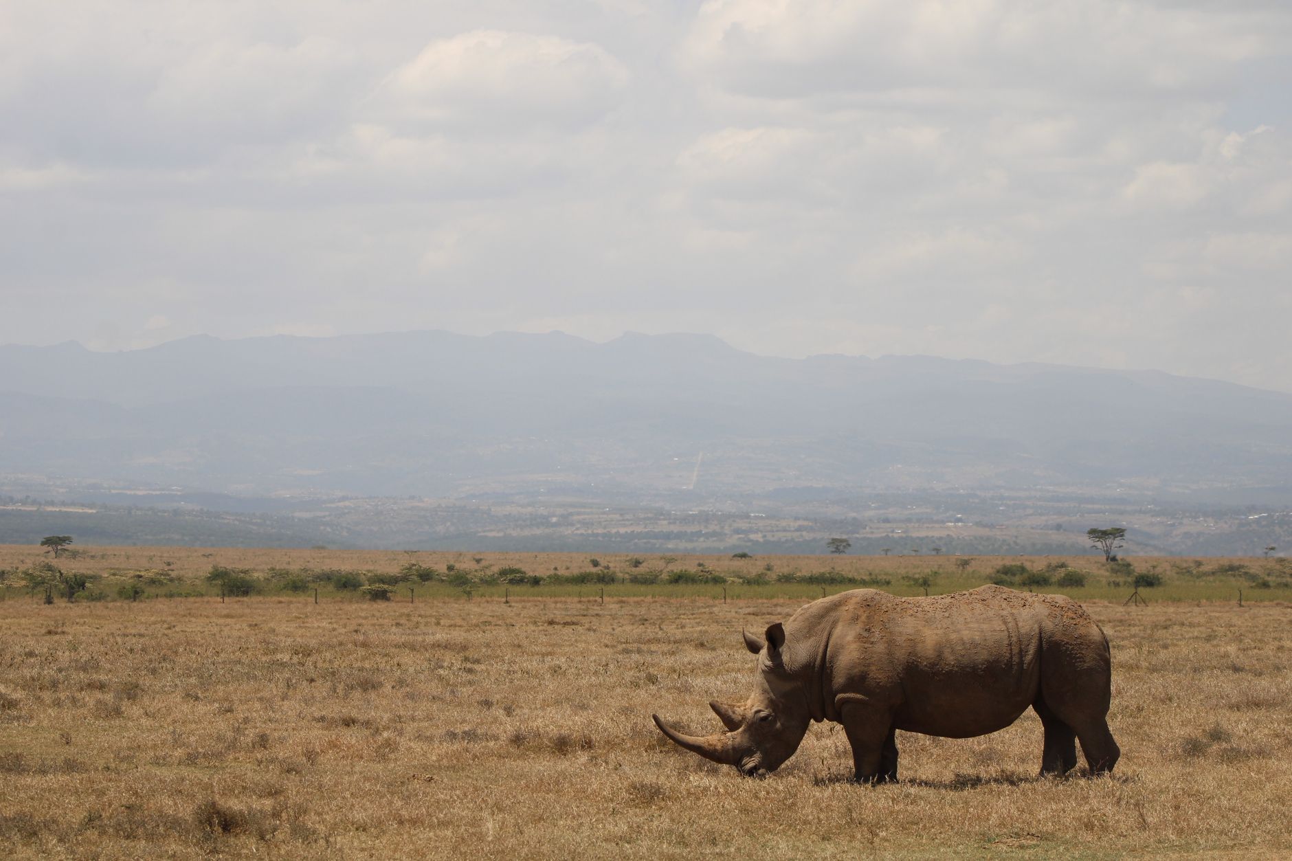 Laikipia