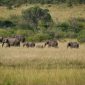 Is Kenya Safe for Tourists? A First-Timer's Safety Guide