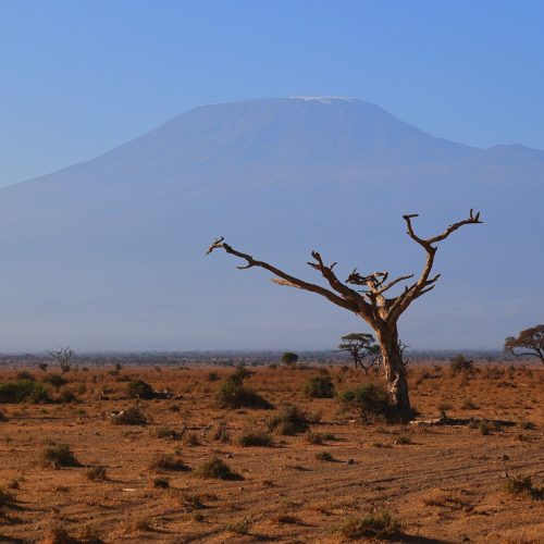 Kenya Grand Camping Safari