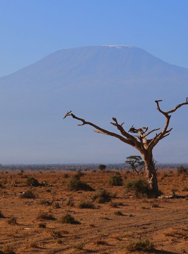 Grand circuit camping safari across Kenya's national parks