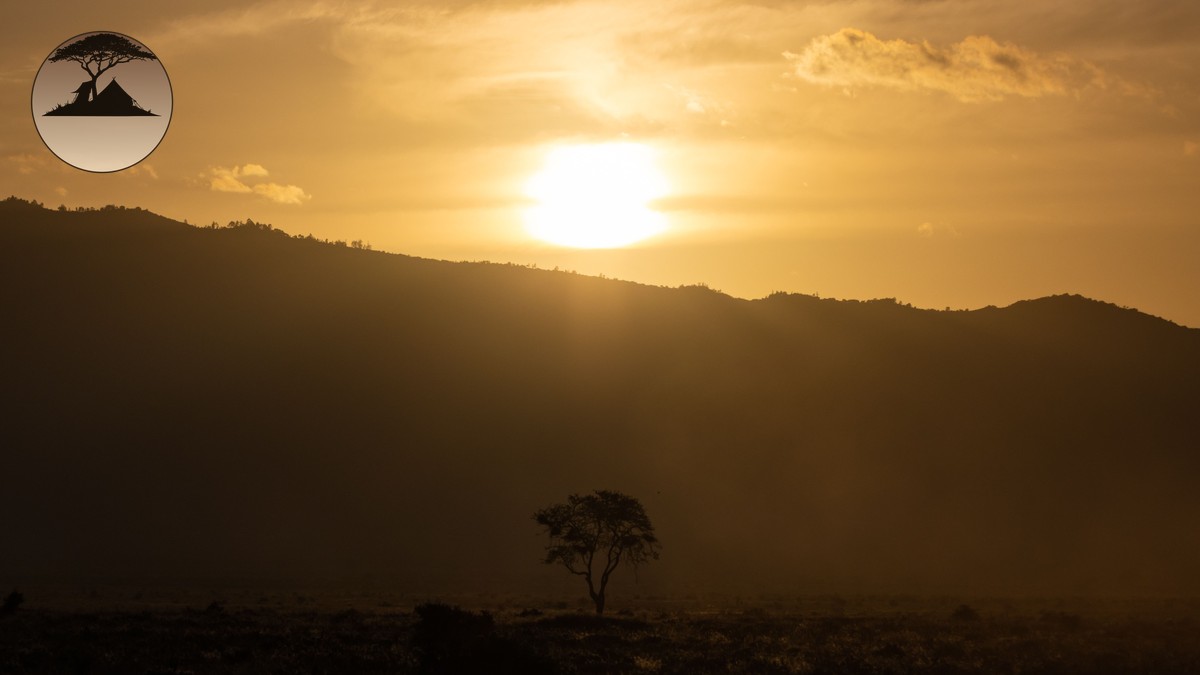 Kenya Safari Cost Per Day Breakdown: Real 2026 Prices - photo 1