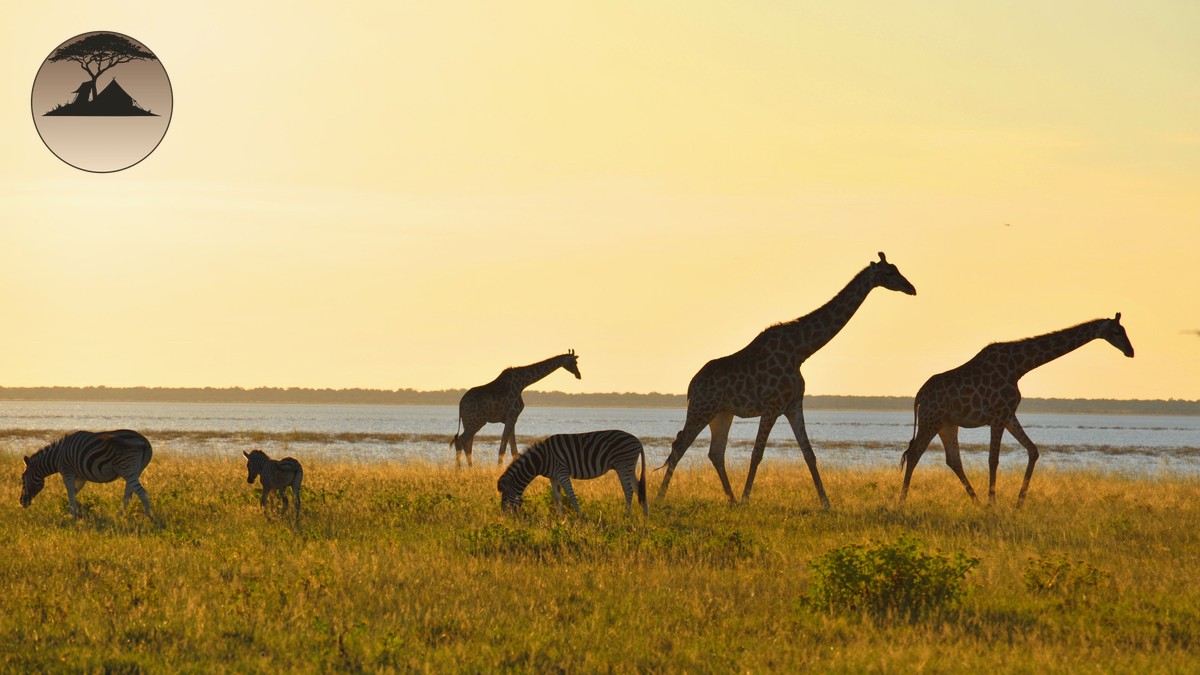 Lewa Wildlife Conservancy Safari Guide 2026 - photo 1