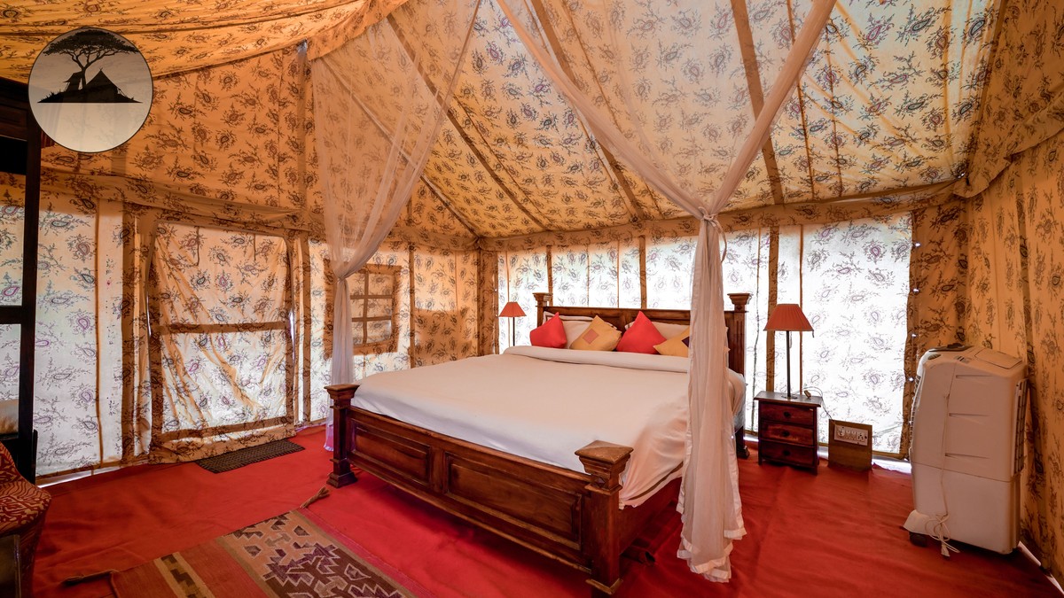 Luxury vs Budget Safari Camp Kenya: What You Get - photo 1