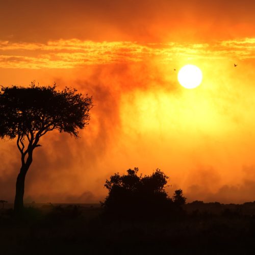 Maasai Mara Classic Mobile Camping Safari