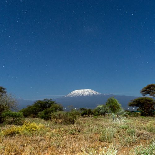 Naboisho Star-Bed Conservancy Camp