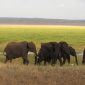 Pace Between Camps on a Family Safari: How Fast?