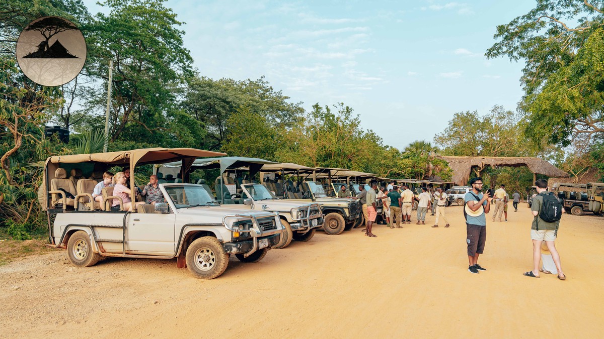 Pace Between Camps on a Family Safari: How Fast? - photo 1
