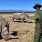 Private Conservancy vs. National Reserve: The Real Difference