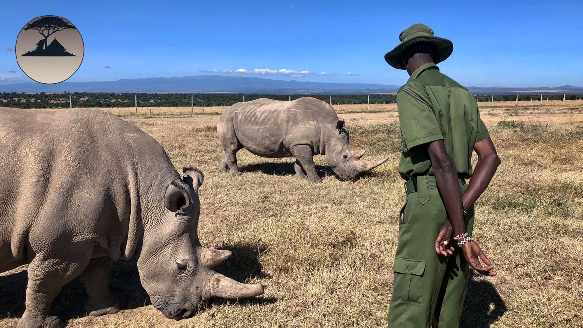 Private Conservancy vs. National Reserve: The Real Difference