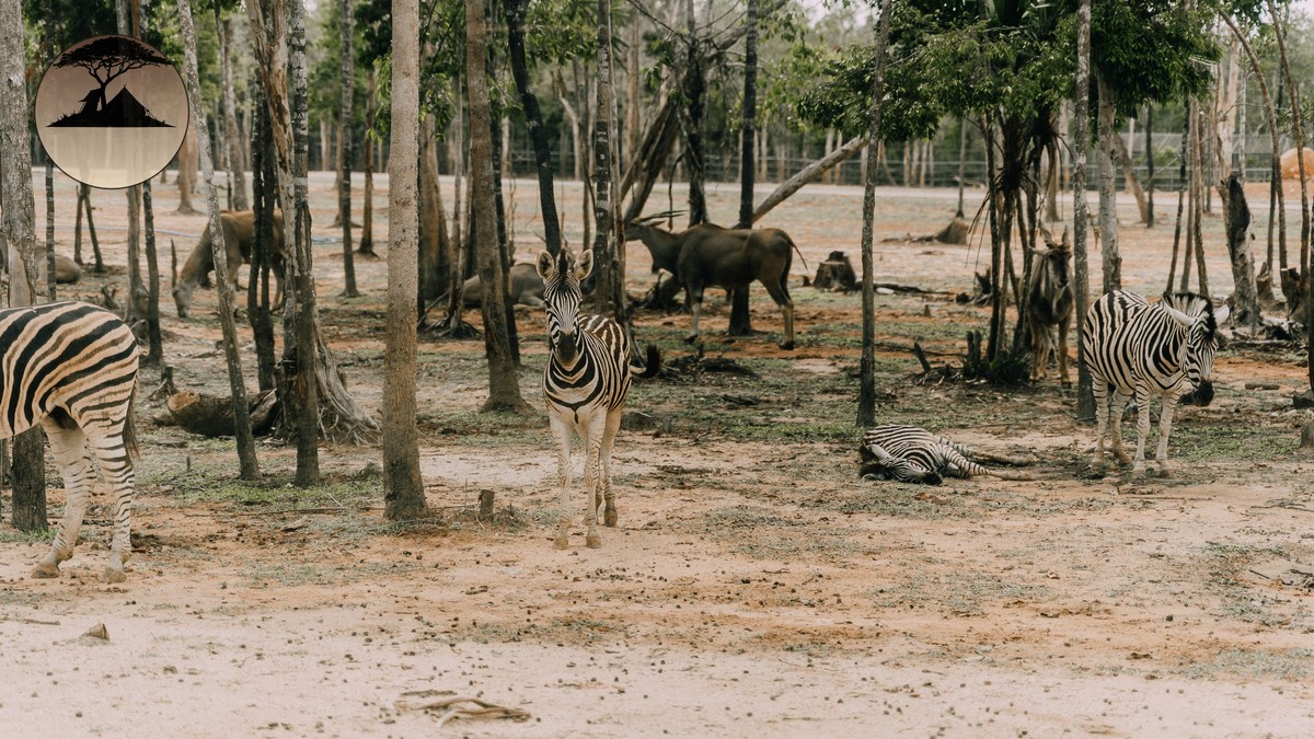 Private Conservancy vs. National Reserve: The Real Difference - photo 2