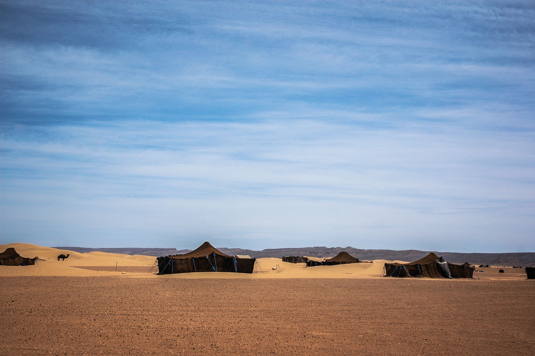 Fly-camping setup in the Kenya wilderness