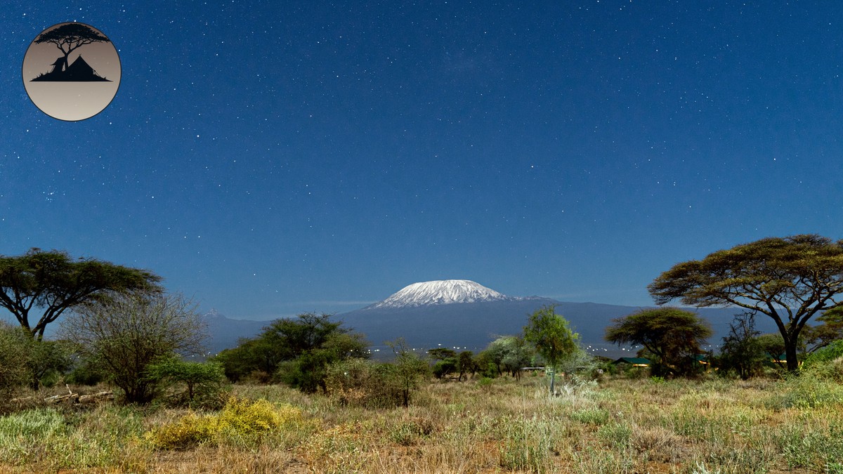 Which Kenya Parks Allow Night Game Drives? (2026 Guide) - photo 2