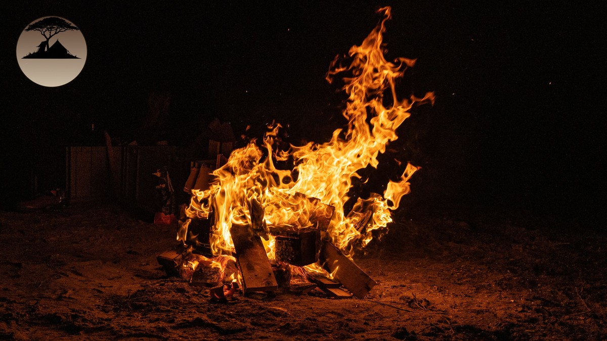 Wild Animals Near Camp at Night: What to Expect - photo 1
