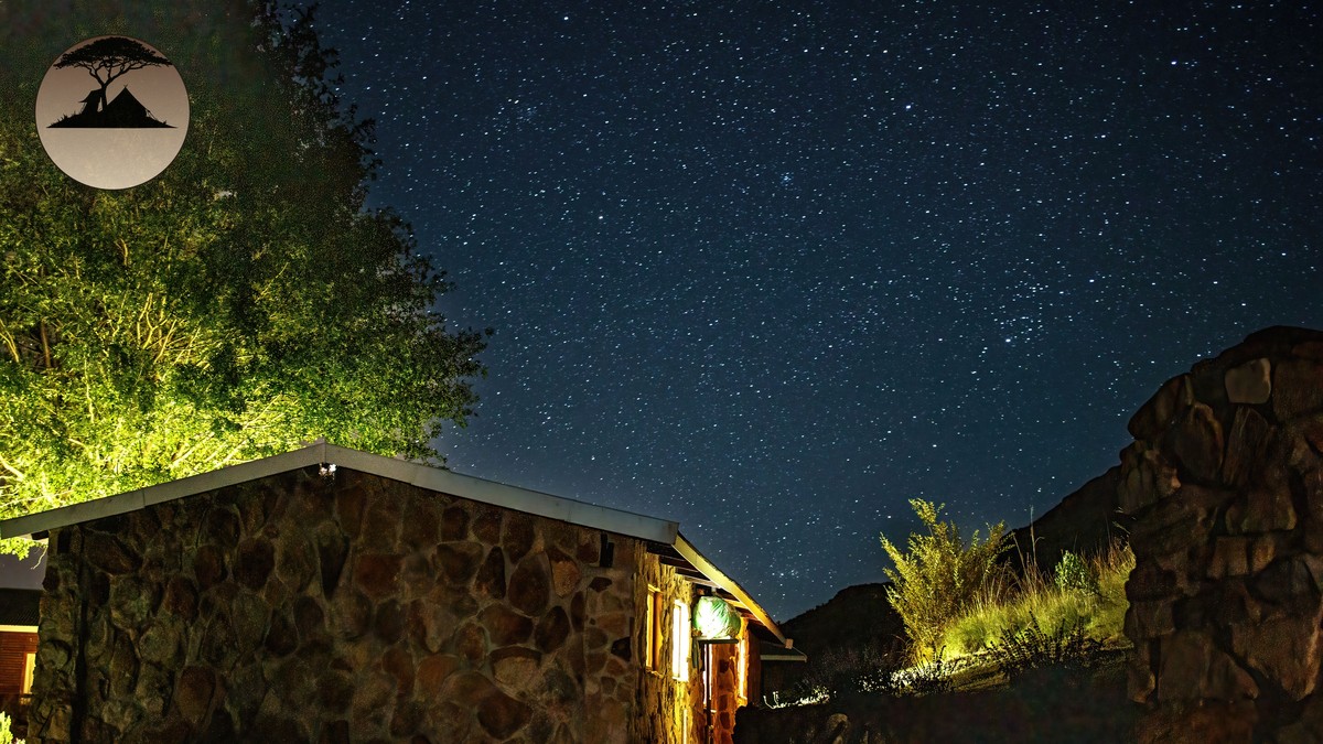 Wild Animals Near Camp at Night: What to Expect - photo 2