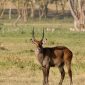 5-Day Kenya Safari Itinerary Route: 2026 Guide
