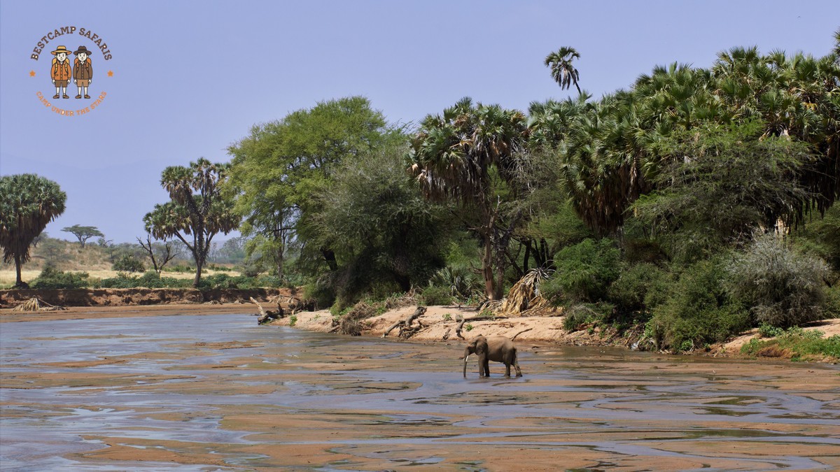 Amboseli vs Lake Nakuru Safari: Pick Your Best Park - photo 2