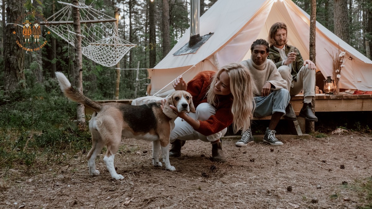 how are safari camp dietary menus planned: 5 Steps -- Photo by cottonbro studio on Pexels