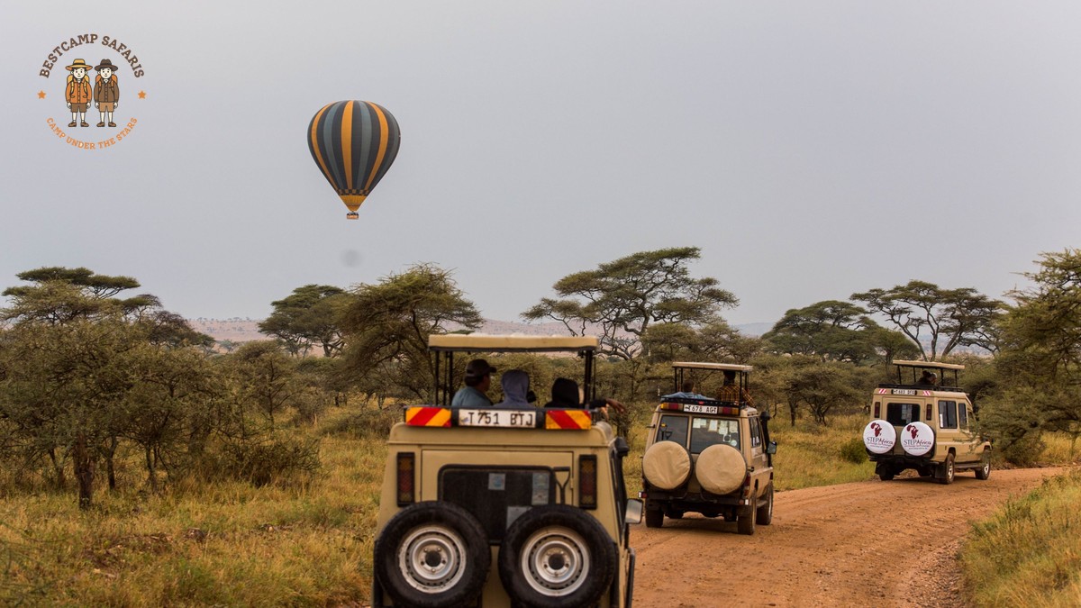Best Camera Settings for Safari Photography in Kenya - photo 1