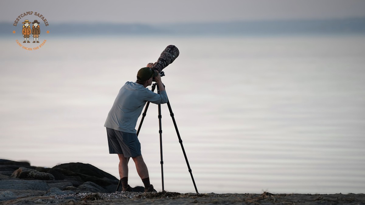 Best Lens for Safari Photography in Kenya