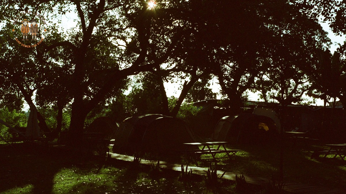 BestCamp Safaris Kenya Trip Planning for Dutch Travelers - photo 2