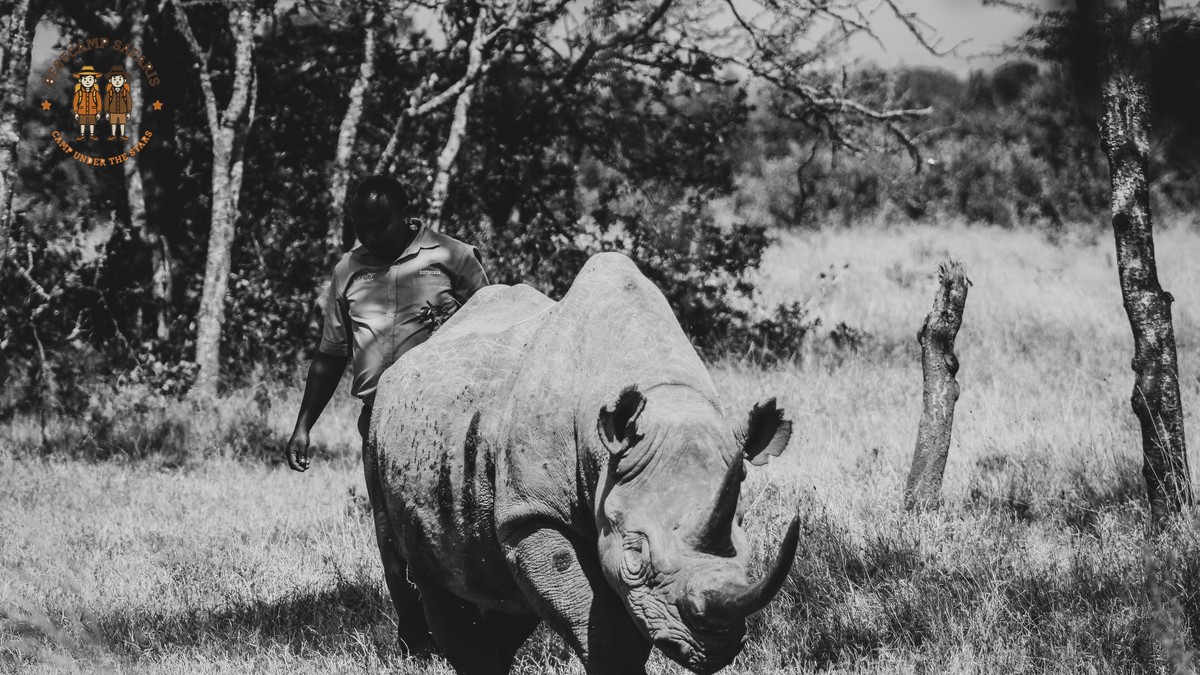 Borana Conservancy Rhino Tracking Safari Guide - photo 2