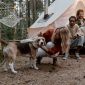 Mobile Camping in Kenya for Buryat-Speaking Travelers