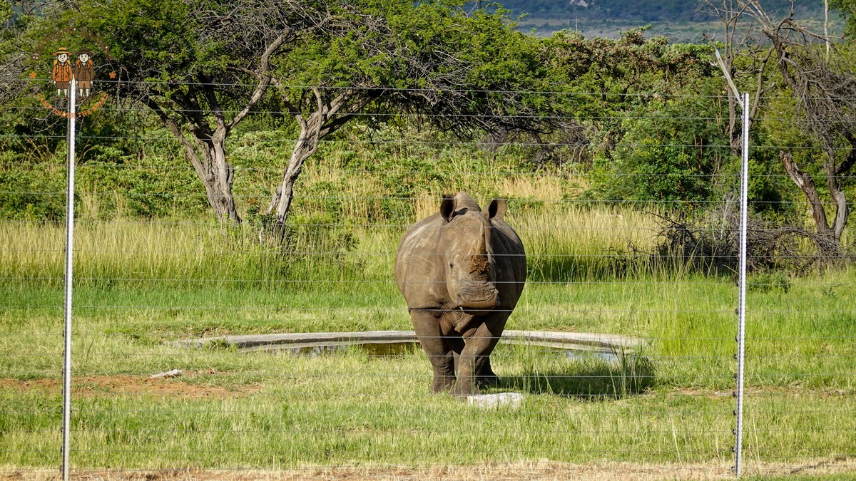 Bush Camping in Laikipia: Kenya's Wildest Conservancy Circuit - photo 2