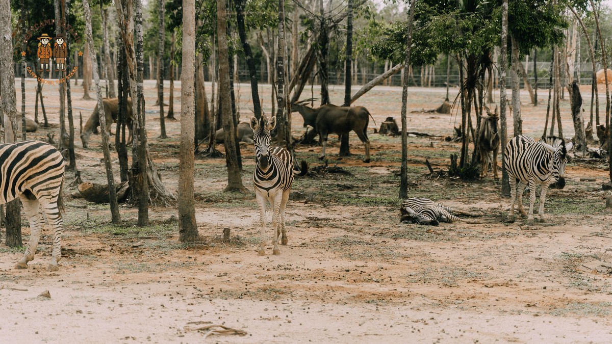 Camping Conservancy vs Reserve Activities: What Changes - photo 2