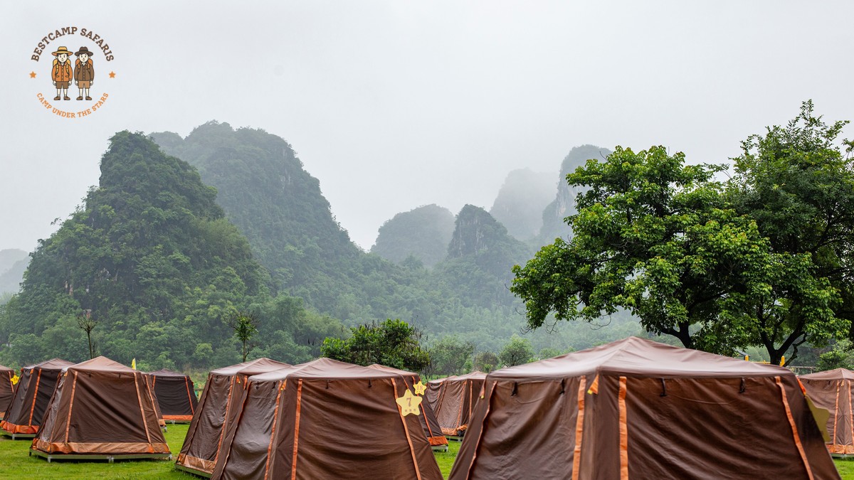 Can Safari Camps Accommodate Allergies in Kenya? - photo 2