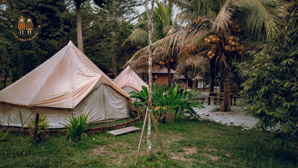Can Safari Camps Accommodate Gluten Intolerance: Yes -- Photo by Hisham Aaz on Pexels