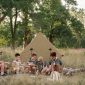 Can Safari Camps Refrigerate Insulin: 5 Booking Steps -- Photo by cottonbro studio on Pexels