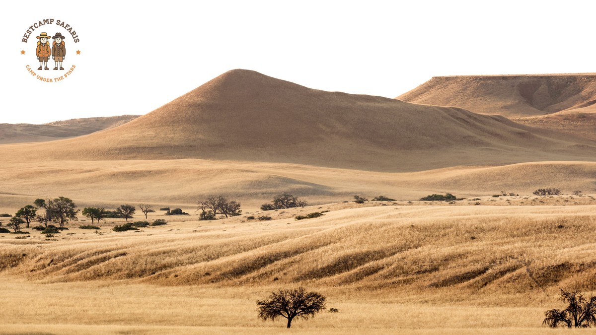 Can Vegetarians Get Enough Protein on Safari? - photo 1