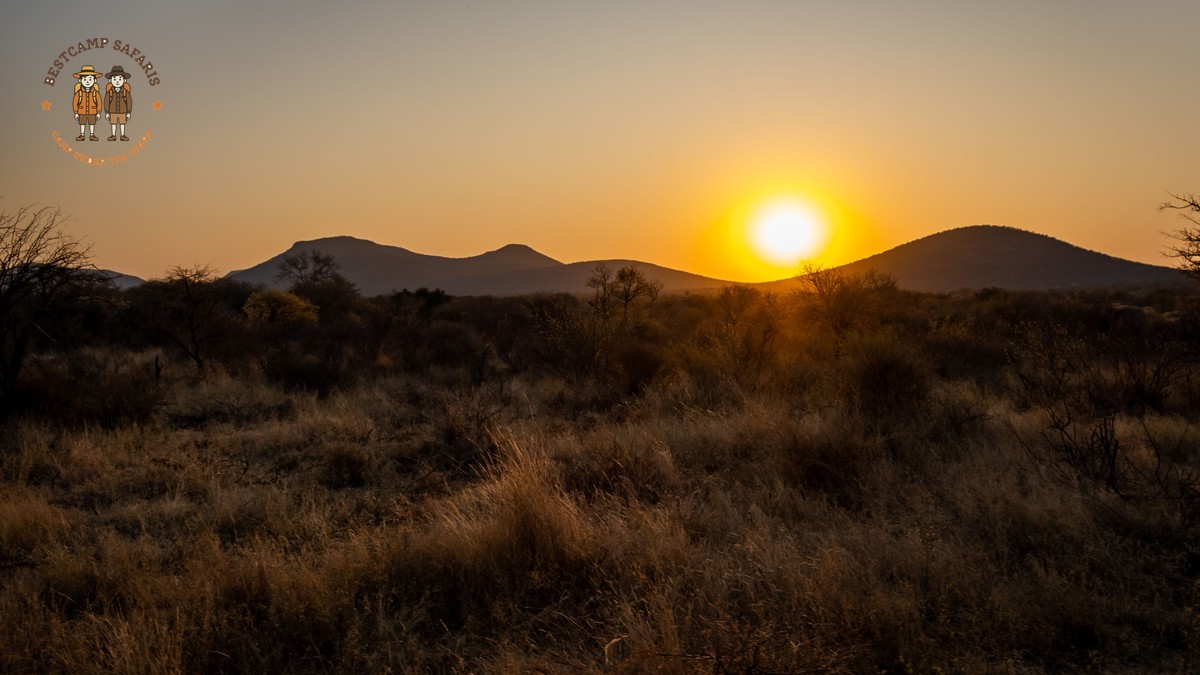 Cheap vs Expensive Safari Operators Kenya: The Real Cost - photo 1