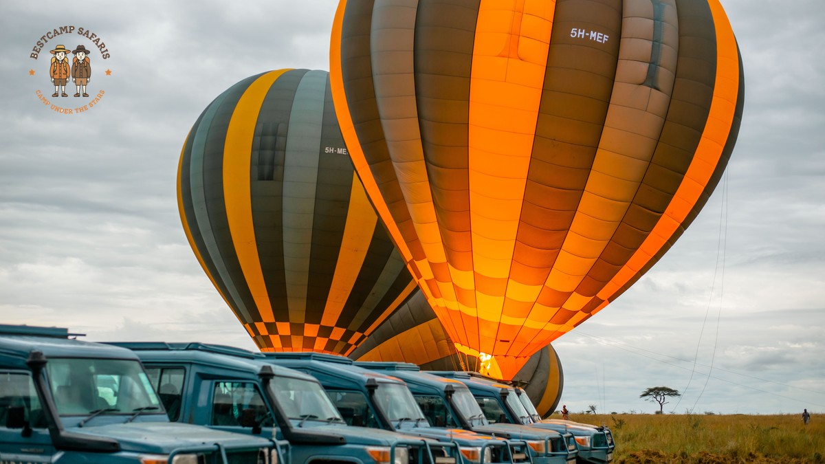Cheap vs Expensive Safari Operators Kenya: The Real Cost - photo 2