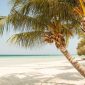 Diani Beach Safari Extension Itinerary: A 7-Day Plan