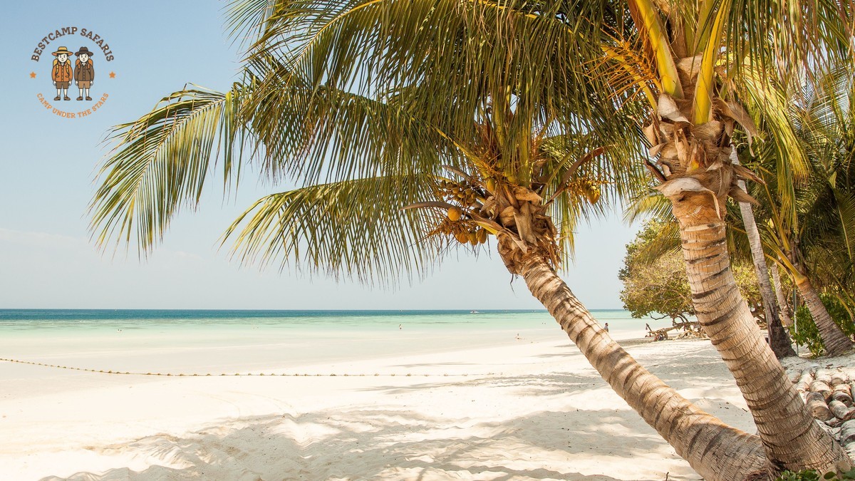 Diani Beach Safari Extension Itinerary: A 7-Day Plan