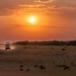Driving Time vs Game Viewing on a Kenya Safari