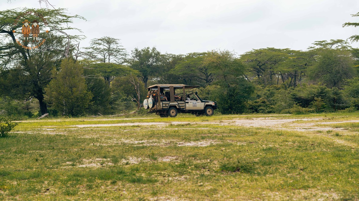Family Safari Kenya for Bodo-Speaking Parents: Full Guide - photo 1