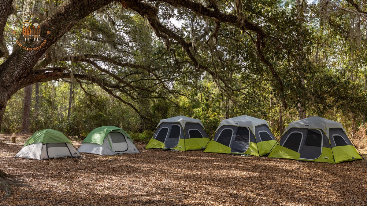 Food Safety Mobile Safari Camp: What Really Happens