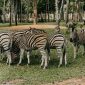 Girls Trip Safari Kenya: Real Costs and Itinerary