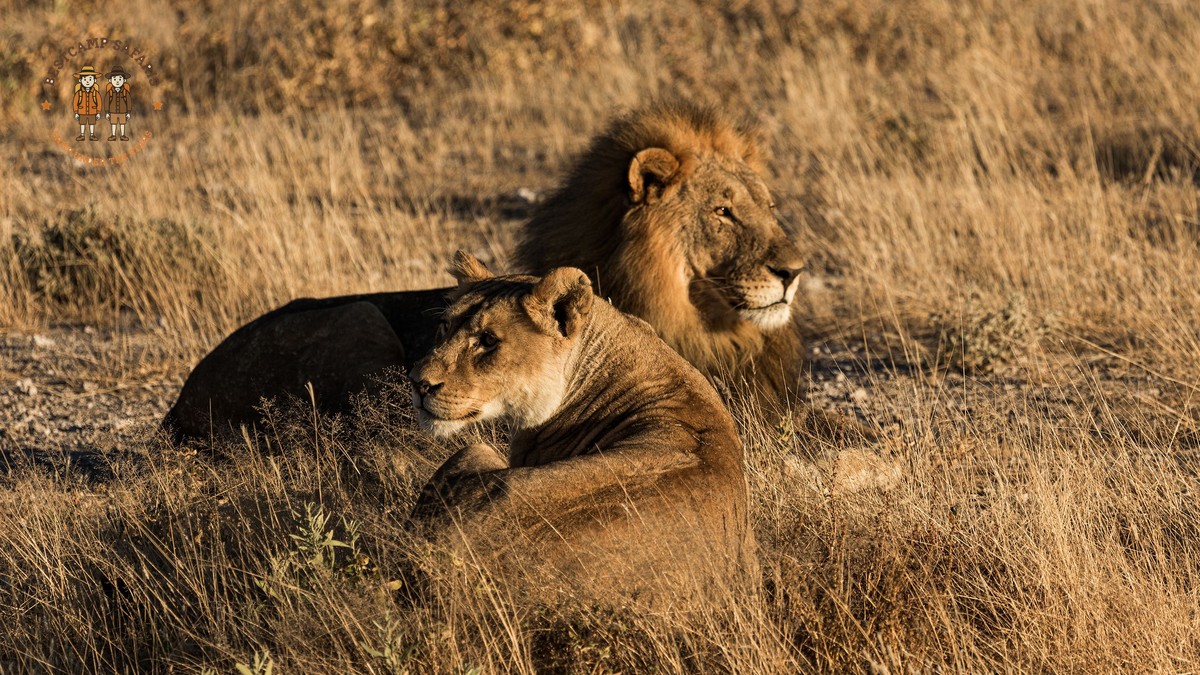 Girls Trip Safari Kenya: Real Costs and Itinerary - photo 1