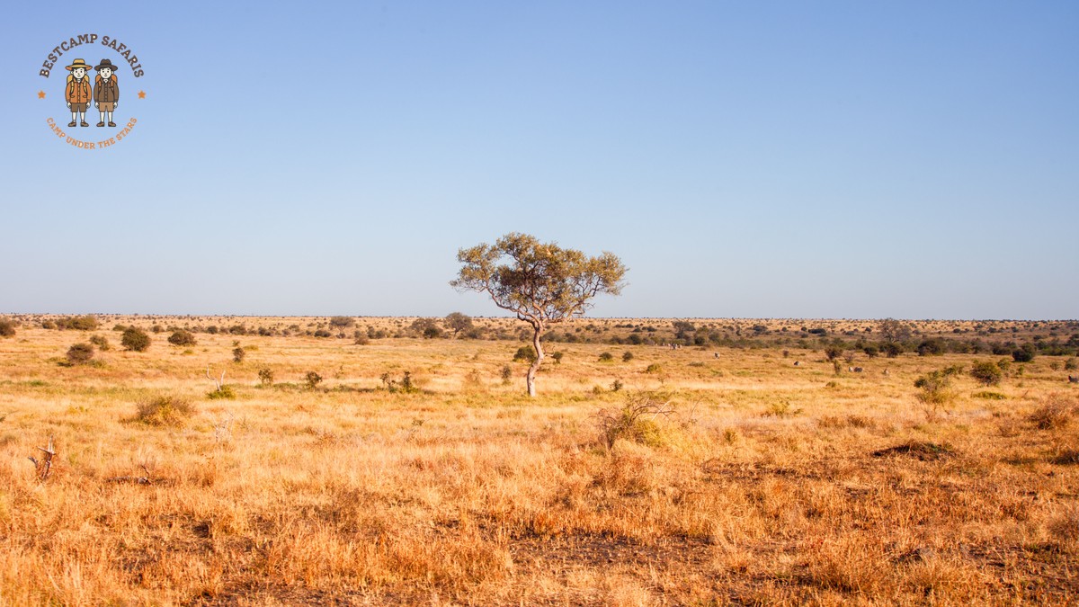 Hidden Fees Kenya Safari Trip: What Your Quote Won't Show - photo 1