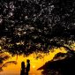 Honeymoon Safari Kenya for Greek-Speaking Couples | BestCamp