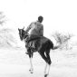 Horseback Safari Laikipia Kenya: Ride Among Wildlife