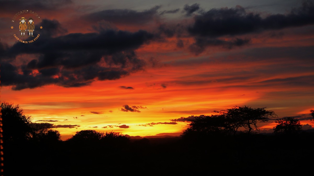 Kenya's Hottest Safari Month: What to Expect in February - photo 1