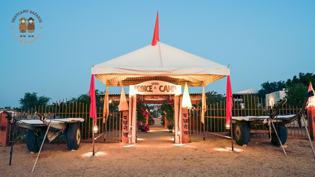 How Are Safari Camp Evacuations Coordinated? Guest Guide