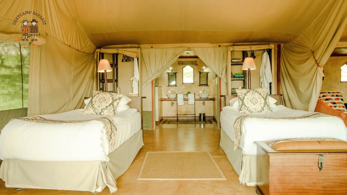 How Do Babies Sleep Safely in a Mobile Safari Camp?