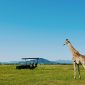 How Do Family Tents Work on a Kenya Safari?